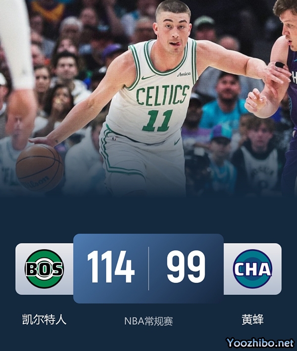 凯尔特人vs黄蜂 全场录像