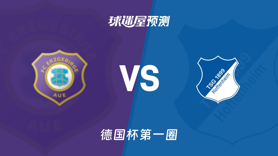 德国杯:奥厄vs霍芬海姆预测分析 霍芬海姆伤病与客场防线